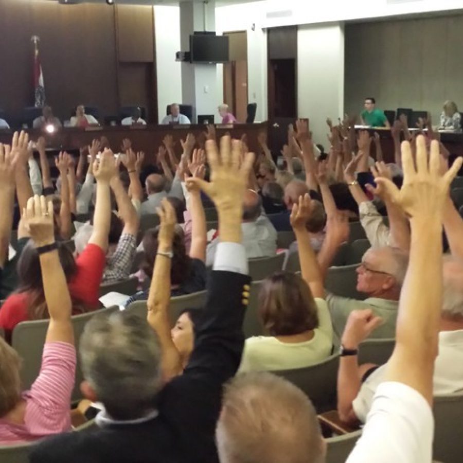 The view of the hands raised against the apartment complex at Bauer and Tesson Ferry from the back of the crowd, courtesy of former Mehlville Board of Education member Lori Trakas.