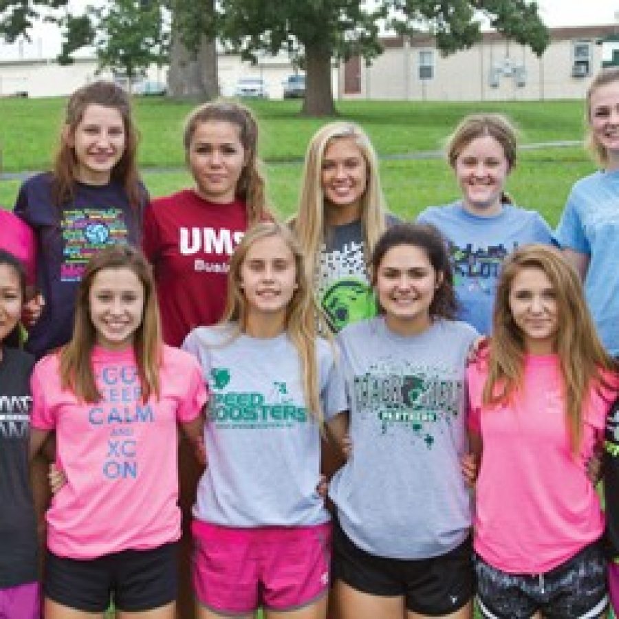 Under second-year head coach Mark Ehlen, the Mehlville High School girls cross country team is hoping to compete for a district title in 2014.