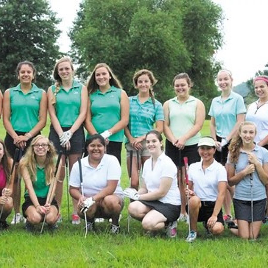 Lindbergh High head golf coach Mike Tyler says the group dynamic of his 2015 squad is really nice.