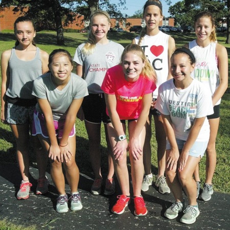 Mehlville High head girls' cross country coach Mark Ehlen believes his team has the potential to advance to the next level this season.