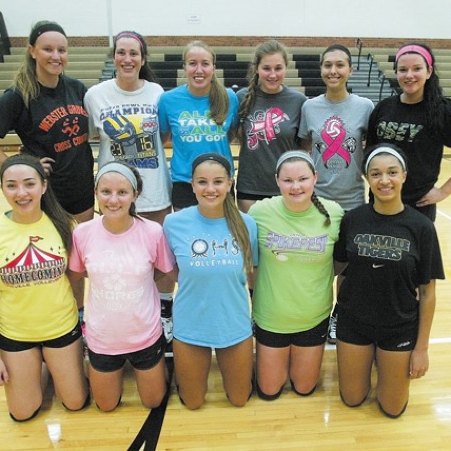 New Oakville High head coach Jessica Betz says her volleyball squad features a mix of experienced and inexperienced players for the 2015 season.