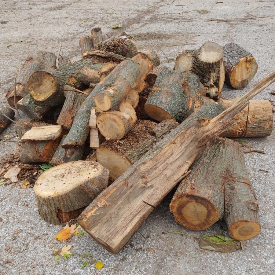 Examples+of+the+free+firewood+available+for+city+of+St.+Louis+residents+at+Carondelet%2C+Forest+Park+and+OFallon+Park.