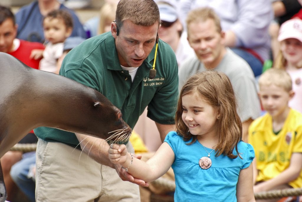Visitors enjoying the sea lion show at the St. Louis Zoo sea lion arena